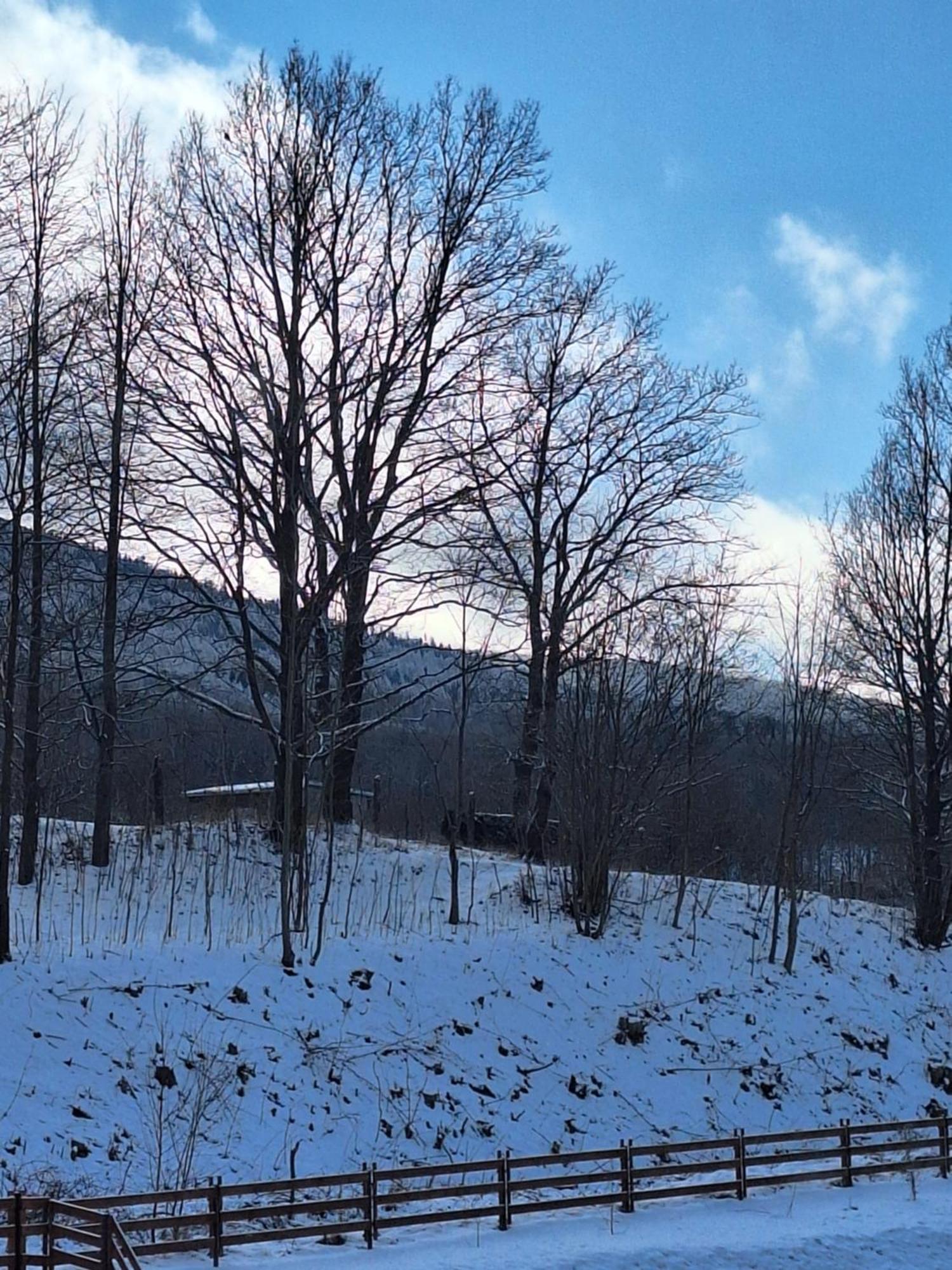 Apartmán Sunny Hill , Kowary Exteriér fotografie